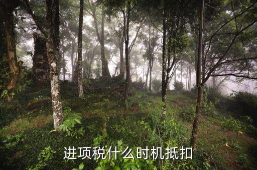 認(rèn)證的進(jìn)項(xiàng)稅什么時(shí)候抵扣，進(jìn)項(xiàng)稅什么時(shí)機(jī)抵扣
