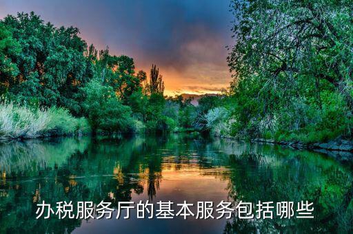 辦稅服務(wù)廳是什么意思，辦稅服務(wù)廳的基本服務(wù)包括哪些