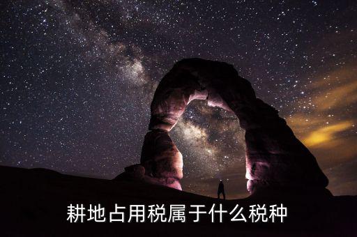 耕地占用稅屬于什么稅，耕地占用稅屬于什么稅種