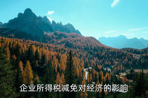 減稅免稅有什么弊端，減稅對(duì)個(gè)人和企業(yè)的不利影響