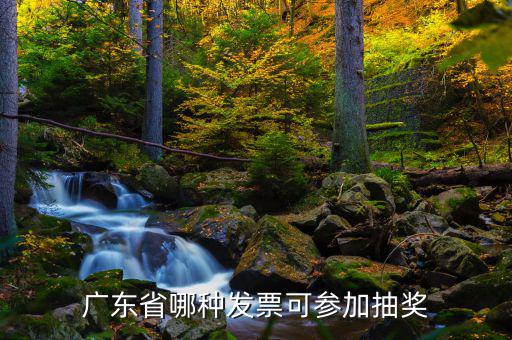什么發(fā)票可以抽獎(jiǎng)，廣東省哪種發(fā)票可參加抽獎(jiǎng)