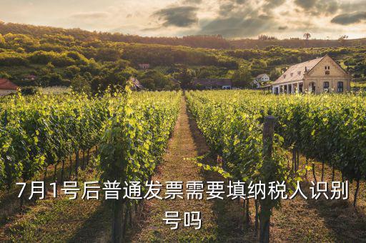 7月1號后發(fā)票內(nèi)容是什么意思，7月1號后普通發(fā)票需要填納稅人識別號嗎