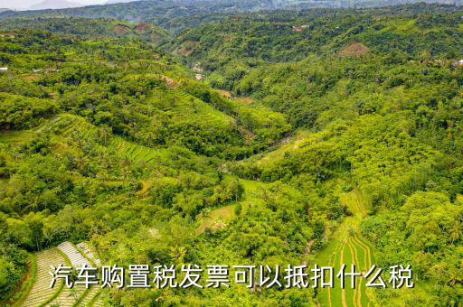 車輛發(fā)票可以抵扣什么，公司買一臺(tái)車請(qǐng)問買車的發(fā)票可以作為進(jìn)票抵扣嗎