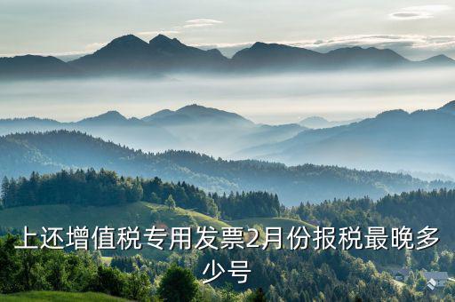 己開具專用票最遲什么時侯報稅，銷售貨物開具了發(fā)票什么時候報稅
