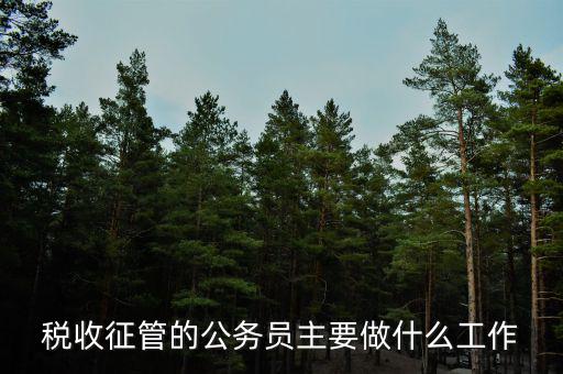 稅收管理員干什么的，稅收征管的公務(wù)員主要做什么工作