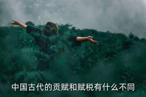賦稅古代指什么，秦朝賦稅嚴(yán)重被稱為什么的
