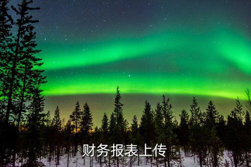 每年上傳什么財(cái)務(wù)報(bào)表，報(bào)哪些稅時(shí)需要上傳財(cái)務(wù)報(bào)表麻煩詳細(xì)一點(diǎn)報(bào)增值稅時(shí)怎樣上傳財(cái)