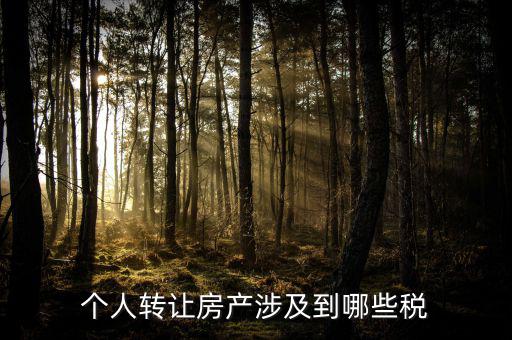 個(gè)人出售住房交什么稅，賣(mài)房子要交20的稅