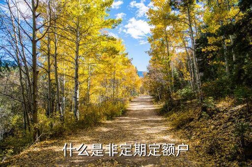 非定期定額戶是什么意思，請(qǐng)問雙定調(diào)整受理文書這是什么意思