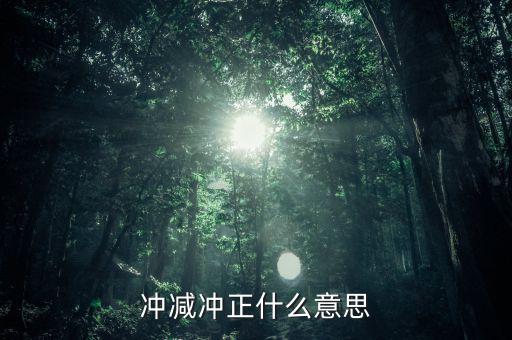 發(fā)票沖正是什么意思，發(fā)票沖正是什么意思