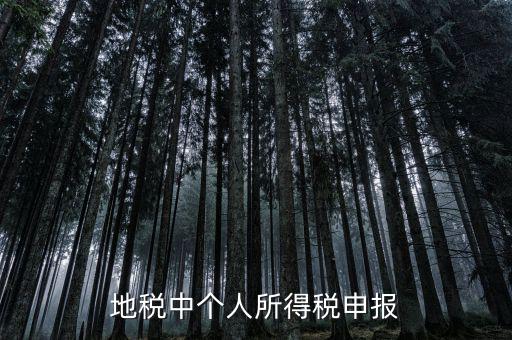 地稅申報個稅是什么意思，為什么地稅要登記個稅呢