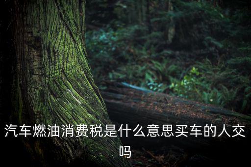 成品油消費(fèi)稅什么意思，成品油消費(fèi)稅和燃油稅