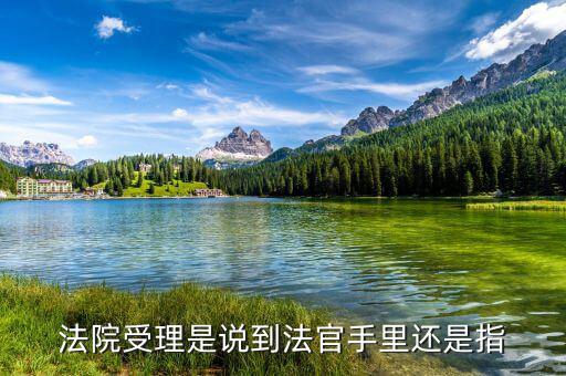 文書受理是什么意思，請問雙定調(diào)整受理文書這是什么意思