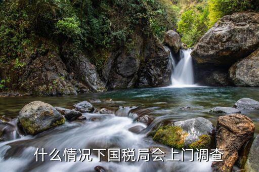 稅務什么情況下會約談，小規(guī)模納稅企業(yè)變更法人稅管員要約談請問要準備什么材料