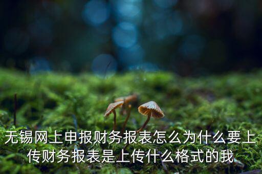 為什么要上傳報(bào)表，無錫網(wǎng)上申報(bào)財(cái)務(wù)報(bào)表怎么為什么要上傳財(cái)務(wù)報(bào)表是上傳什么格式