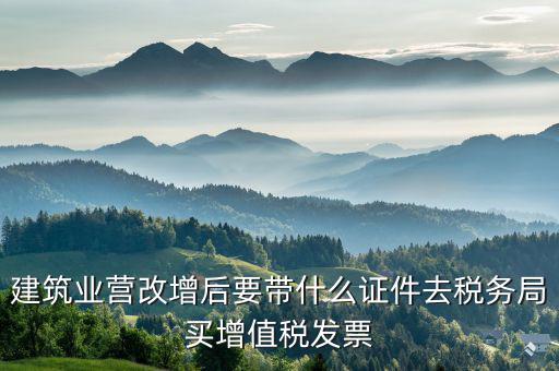 建安稅營(yíng)改增后叫什么資料，營(yíng)改增后去國(guó)稅開建安的外經(jīng)證需要哪些材料