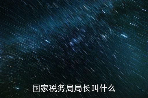 國家稅務(wù)局局長(zhǎng)叫什么