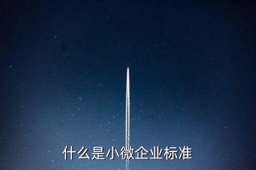 什么樣的標(biāo)準(zhǔn)是小薇企業(yè)，什么是小微企業(yè)標(biāo)準(zhǔn)
