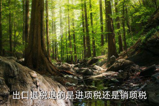 出口退稅退的是什么稅，出口退稅退的是進項稅還是銷項稅