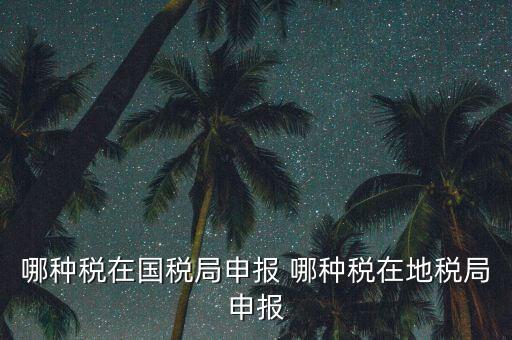 國(guó)稅局可以申報(bào)什么稅，在國(guó)稅申報(bào)的稅種有哪些稅率是多少