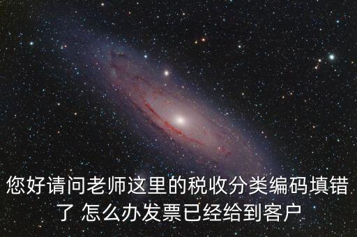 稅收分類編碼錯(cuò)誤的是什么，汽車導(dǎo)航儀稅收分類編碼是什么
