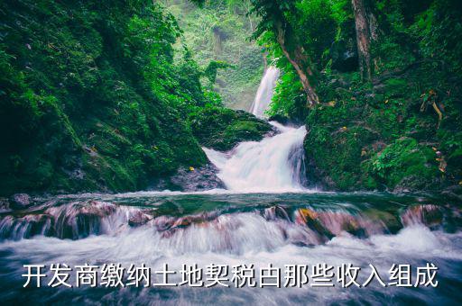 契稅中的土地開發(fā)包括什么，開發(fā)商繳納土地契稅甴那些收入組成