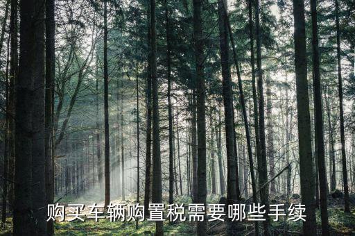 車(chē)購(gòu)置稅證明什么手續(xù)，購(gòu)買(mǎi)車(chē)輛購(gòu)置稅需要哪些手續(xù)