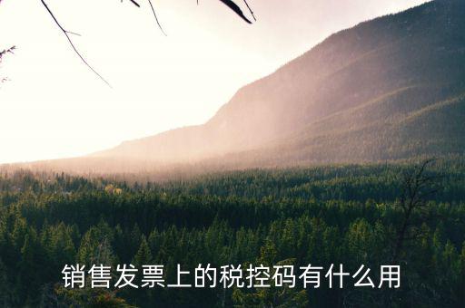 發(fā)票稅控碼是什么，國稅發(fā)票稅控碼