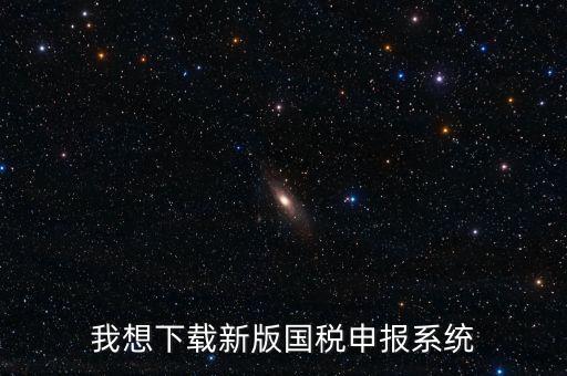 新疆國稅報(bào)稅什么系統(tǒng)下載，我想下載新版國稅申報(bào)系統(tǒng)