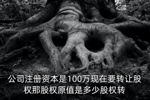 股權(quán)原值是什么意思，公司注冊資本是100萬現(xiàn)在要轉(zhuǎn)讓股權(quán)那股權(quán)原值是多少股權(quán)轉(zhuǎn)