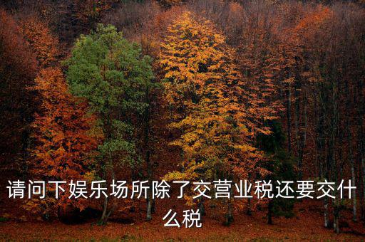 娛樂業(yè)交什么稅，請問下娛樂場所除了交營業(yè)稅還要交什么稅