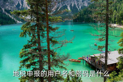 山東省地稅報稅的賬號是什么，地稅網(wǎng)上申報用什么帳號