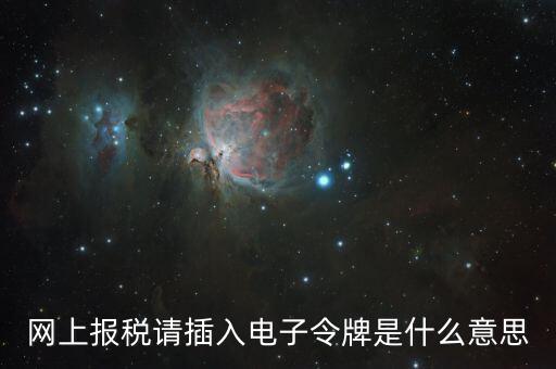 報稅數(shù)字證書口令是什么意思，網(wǎng)上報稅請插入電子令牌是什么意思