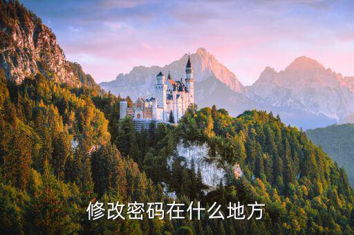 國稅網(wǎng)站更改密碼在什么地方，修改密碼在什么地方