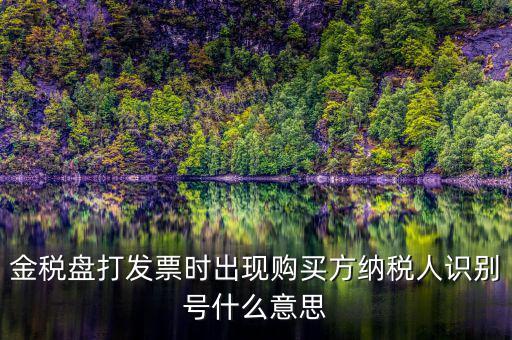 購(gòu)貨方識(shí)別號(hào)是什么，開(kāi)票方識(shí)別號(hào)是什么意思