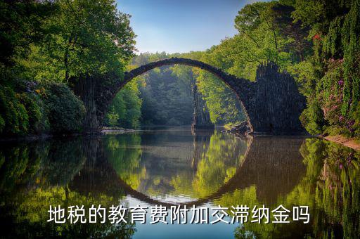 教育費(fèi)附加為什么不用交滯納金，地稅的教育費(fèi)附加交滯納金嗎