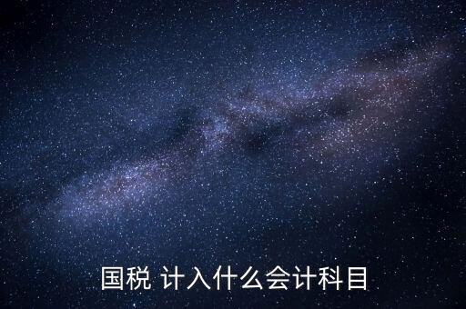國(guó)稅申報(bào)記入什么科目，付國(guó)稅應(yīng)計(jì)入什么科目求解啊