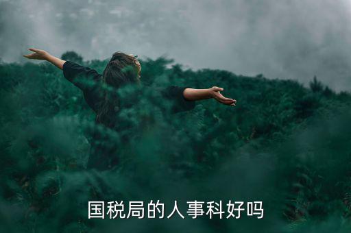 國(guó)稅人事科做什么，縣國(guó)稅局的人事歸哪里管基層分局的級(jí)別