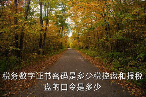 寧波國稅ca密碼是什么，寧波市電子稅務(wù)局登陸密碼