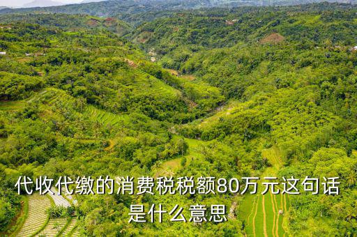 代扣代繳稅額是什么，代扣稅屬于什么稅