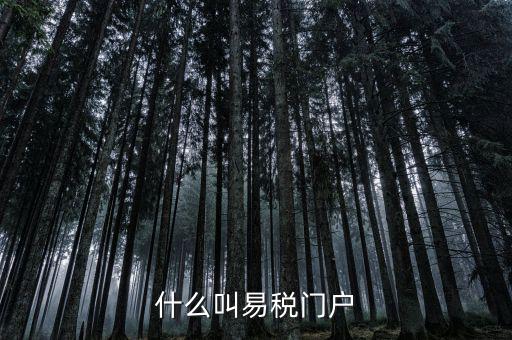 什么叫易稅門(mén)戶(hù)