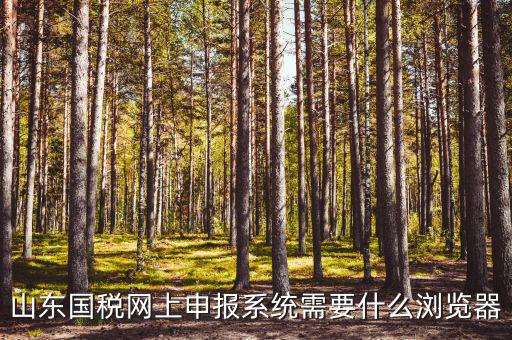 國稅網站用什么瀏覽器，山東國稅網上申報系統(tǒng)需要什么瀏覽器