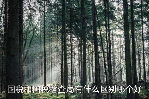 國稅稅收調(diào)查調(diào)查什么區(qū)別，國稅三稅調(diào)查是指哪三稅