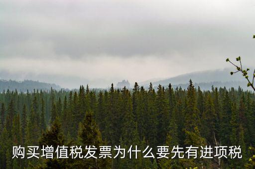 為什么要買進(jìn)項(xiàng)票，購買增值稅發(fā)票為什么要先有進(jìn)項(xiàng)稅