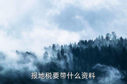 地稅逾期申報 帶什么資料，我們公司的地稅逾期申報了是要去地稅補申報那需要帶什么資料