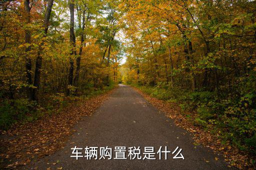 車購稅資金是什么，購置稅是什么