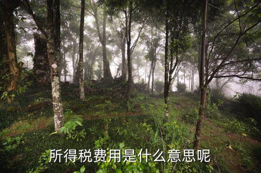 所得稅支出什么意思，企業(yè)所得稅是什么意思