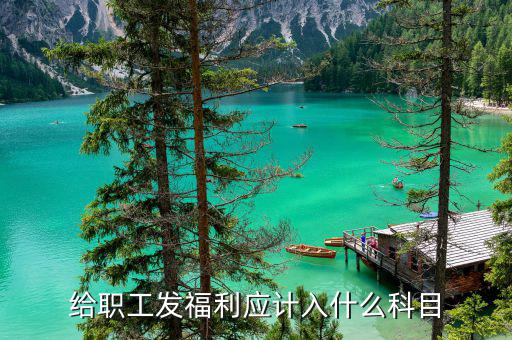 給員工發(fā)年終福利記什么科目，企業(yè)職工發(fā)放的年終獎(jiǎng)入什么科目