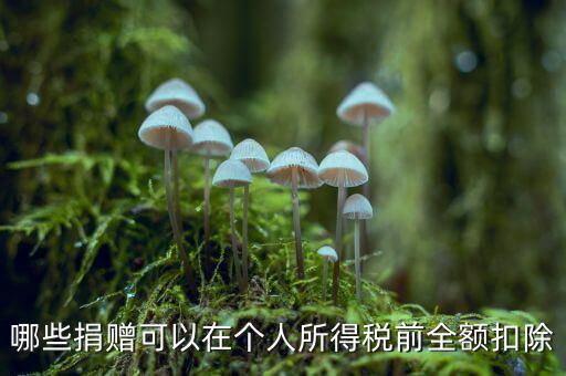 什么捐贈可以稅前扣除，求助企業(yè)在所得稅前可以扣除的捐贈支出