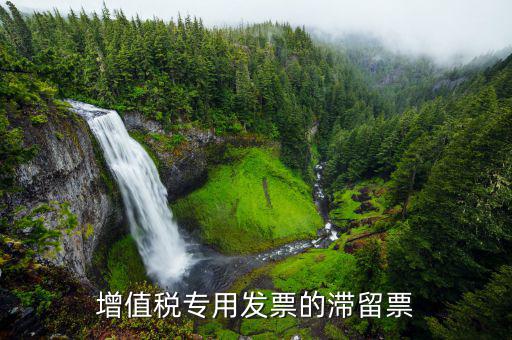滯留票核查工作是干什么的，稅務(wù)局會(huì)查到期未抵扣的滯留增值稅專用發(fā)票嗎用來(lái)查帳外帳